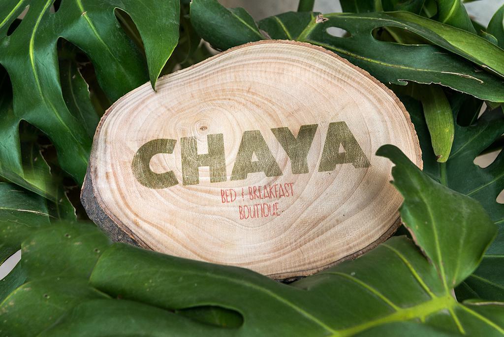 Chaya B&B Boutique Ciudad de México Cameră foto